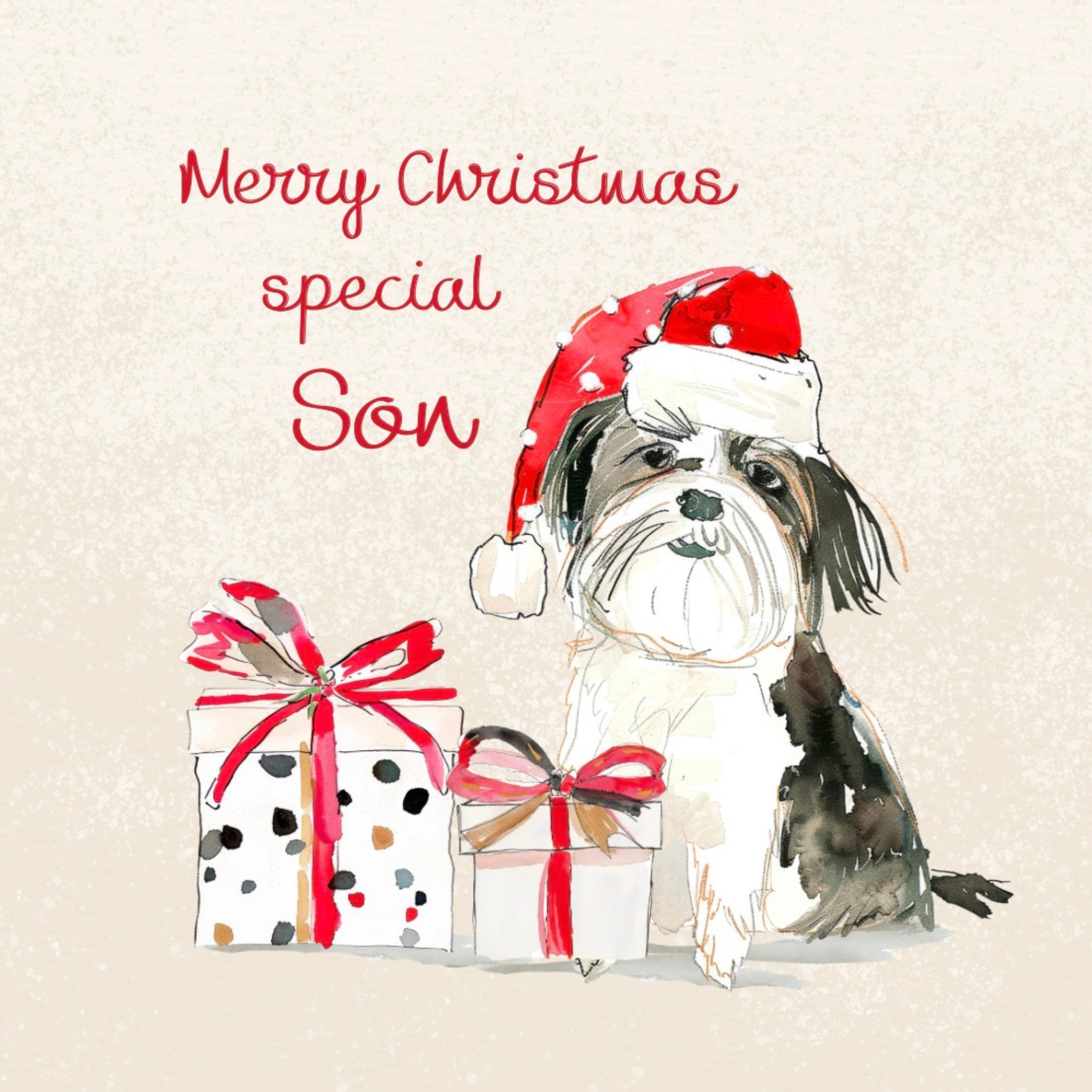Petimo - Special Son Merry Tails Cute Dog Christmas Card