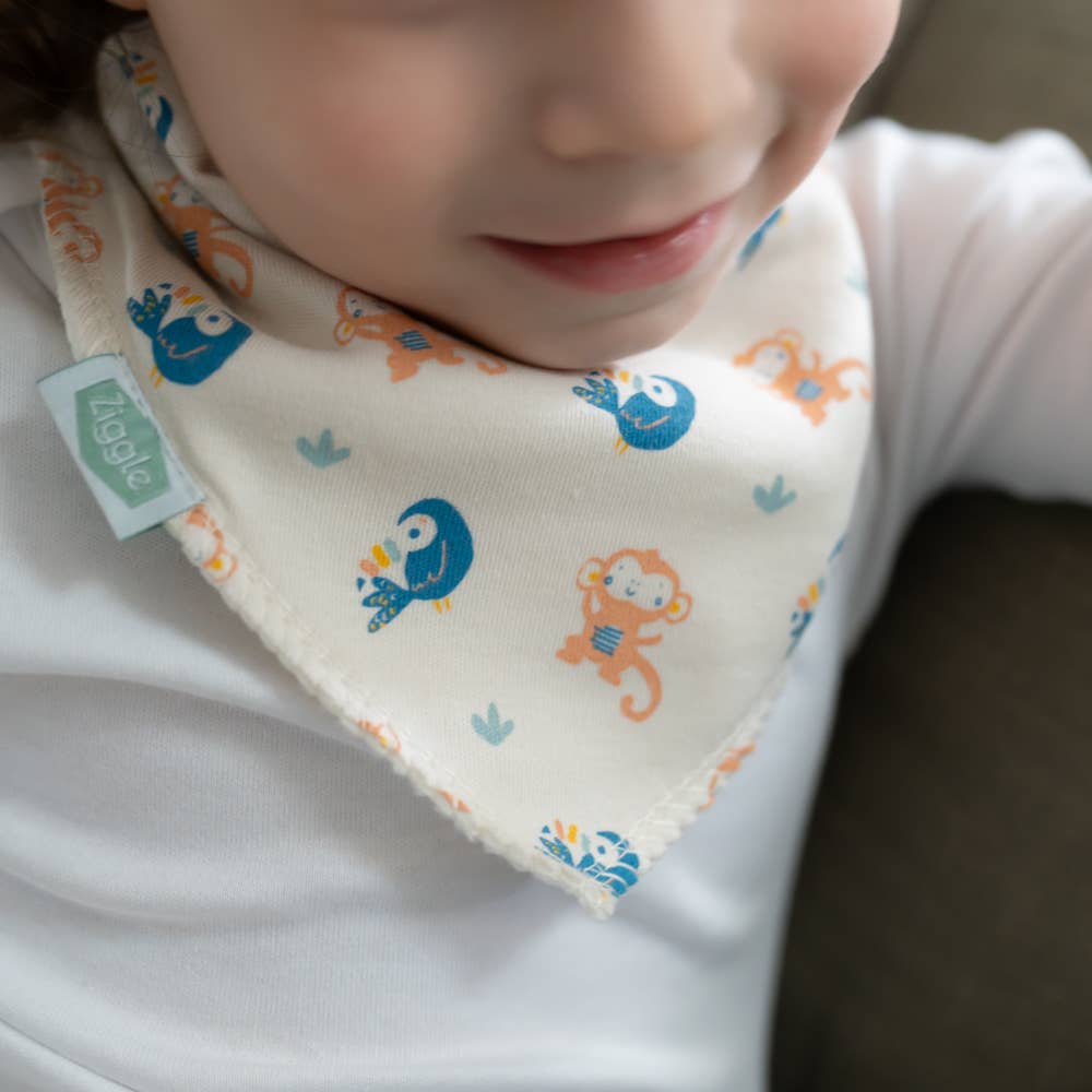 Ziggle Baby - Savanna Animals Bib Set: Set