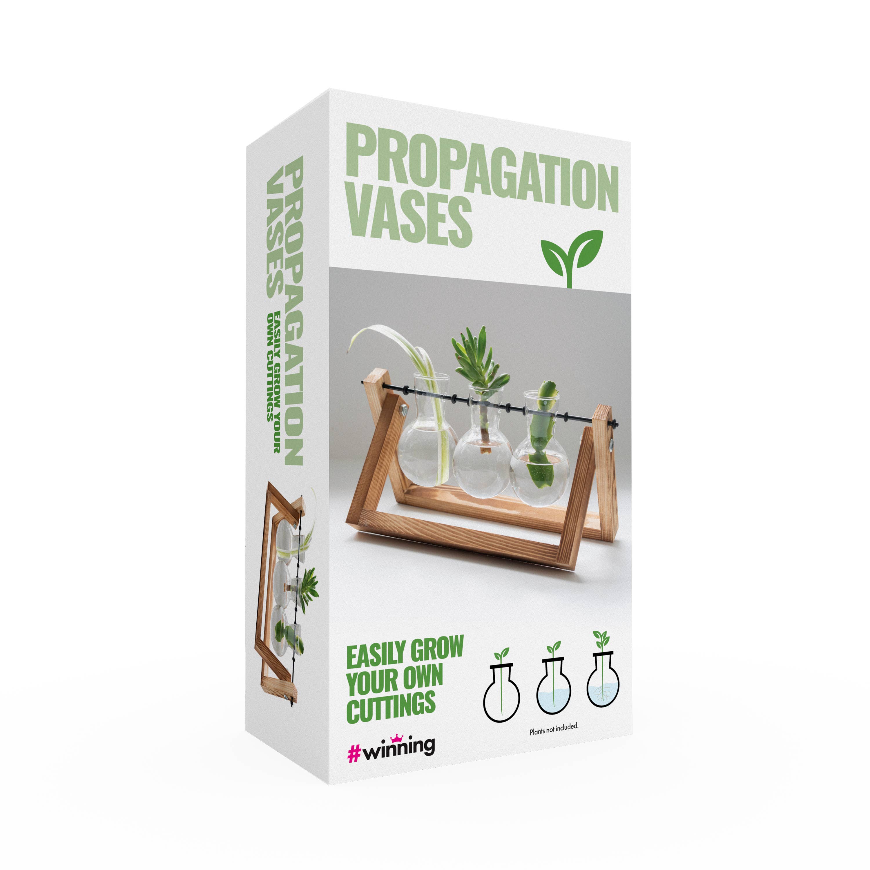 Propagation Vases