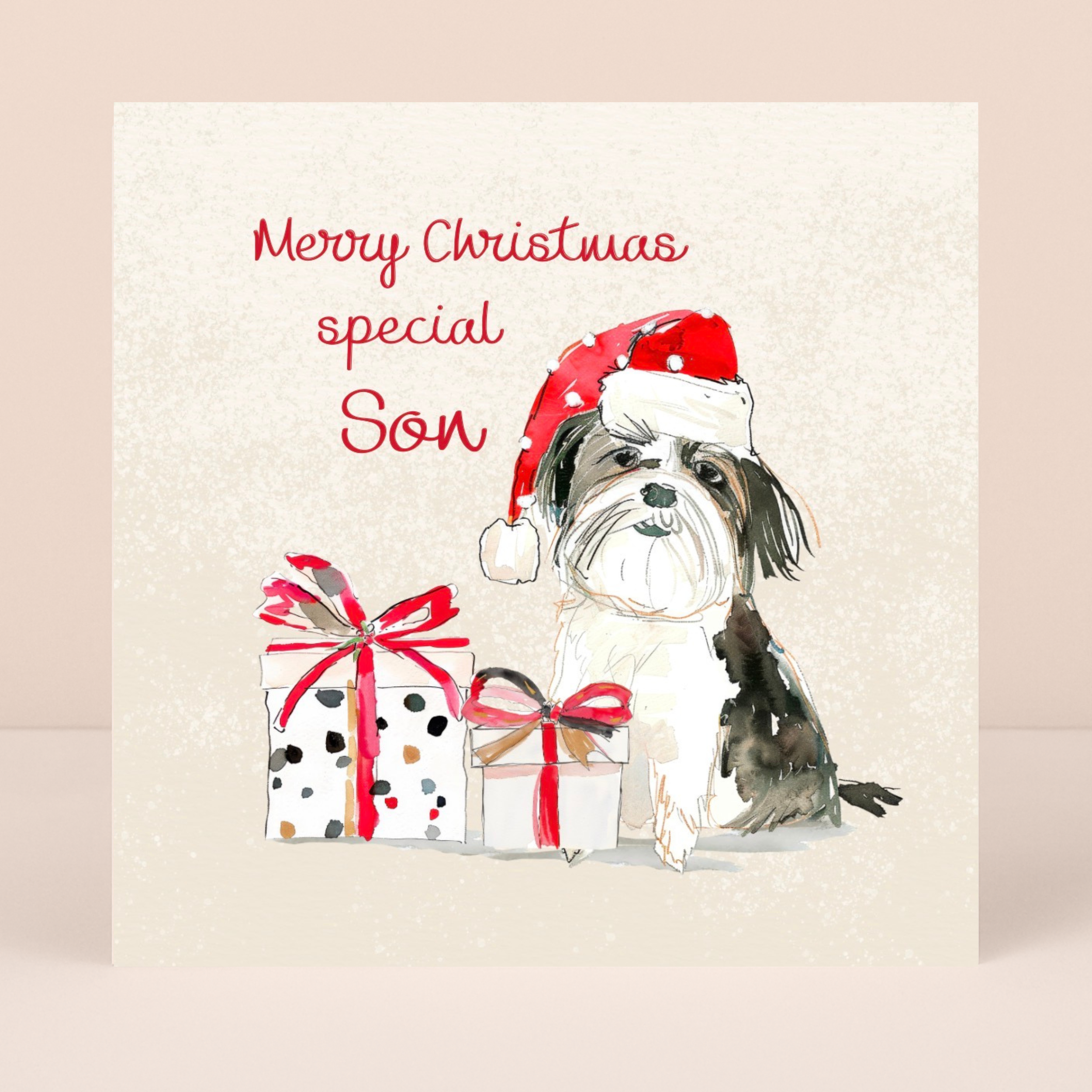 Petimo - Special Son Merry Tails Cute Dog Christmas Card