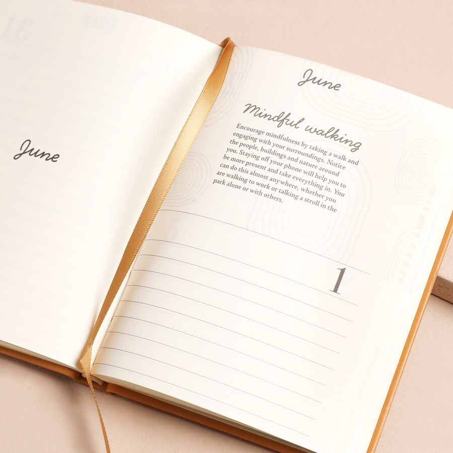 Lisa Angel 52 Weeks Of Positivity Wellness Journal