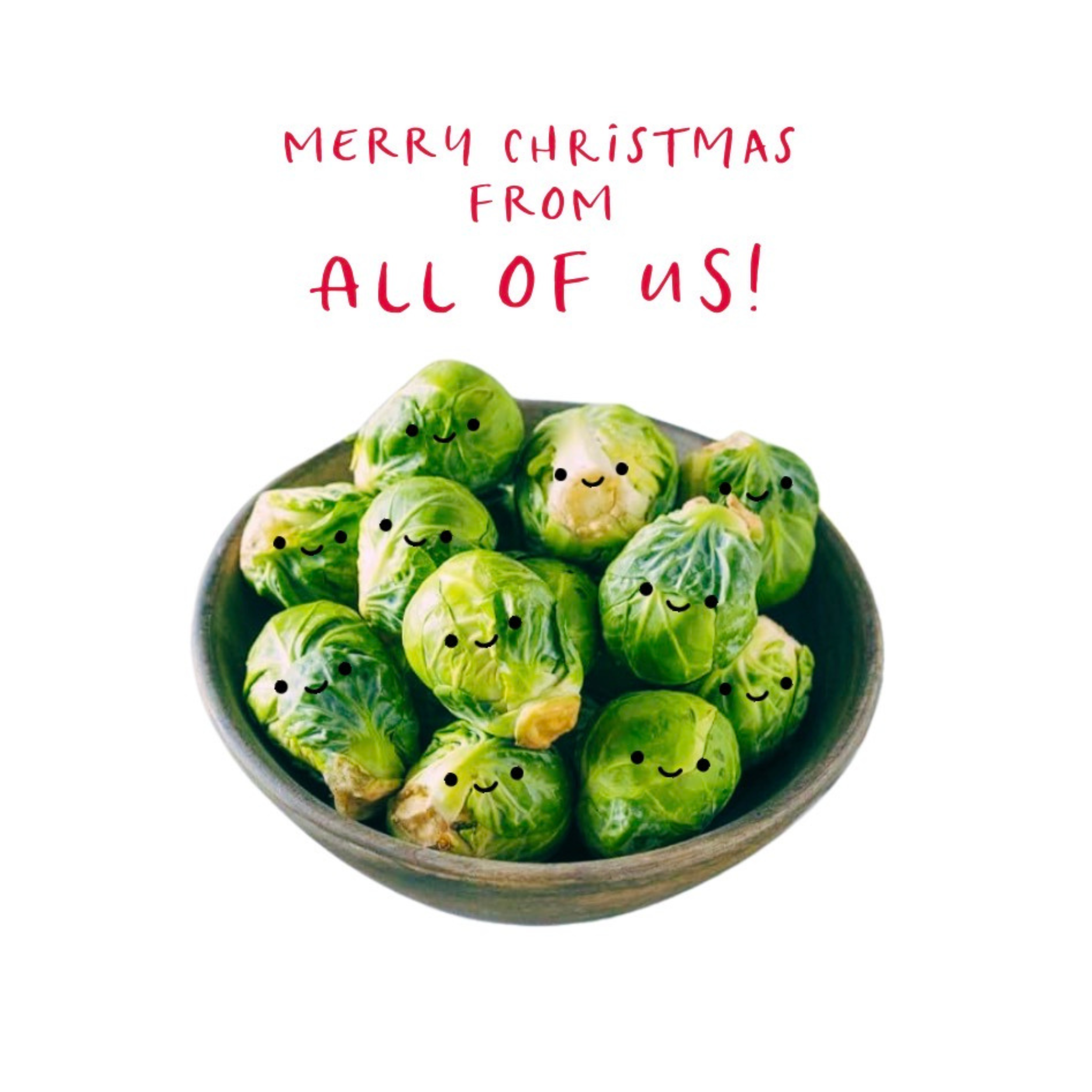 Petimo - From All of Us Sprout Funny Cute Christmas Card