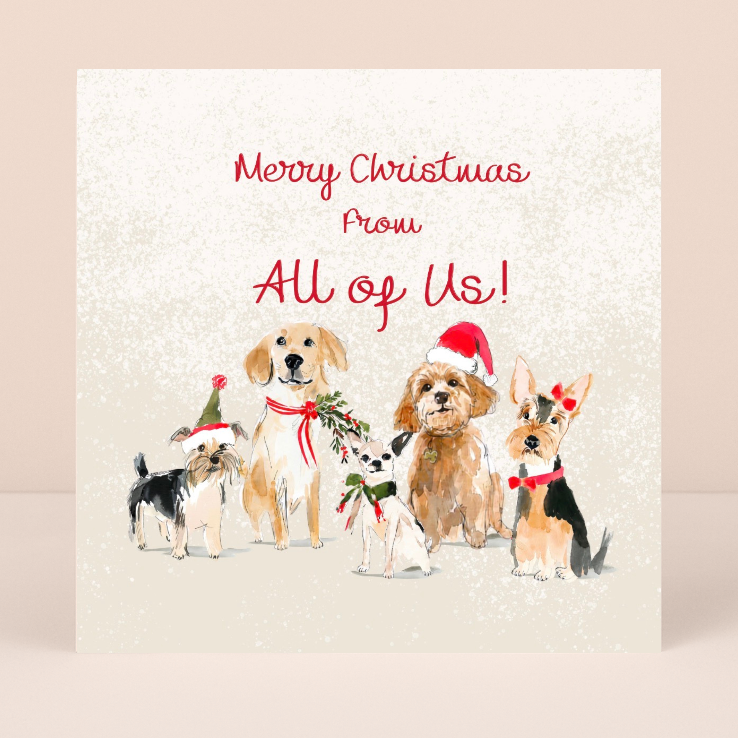 Petimo - From All of Us Merry Tails Cute Dogs Christmas Card