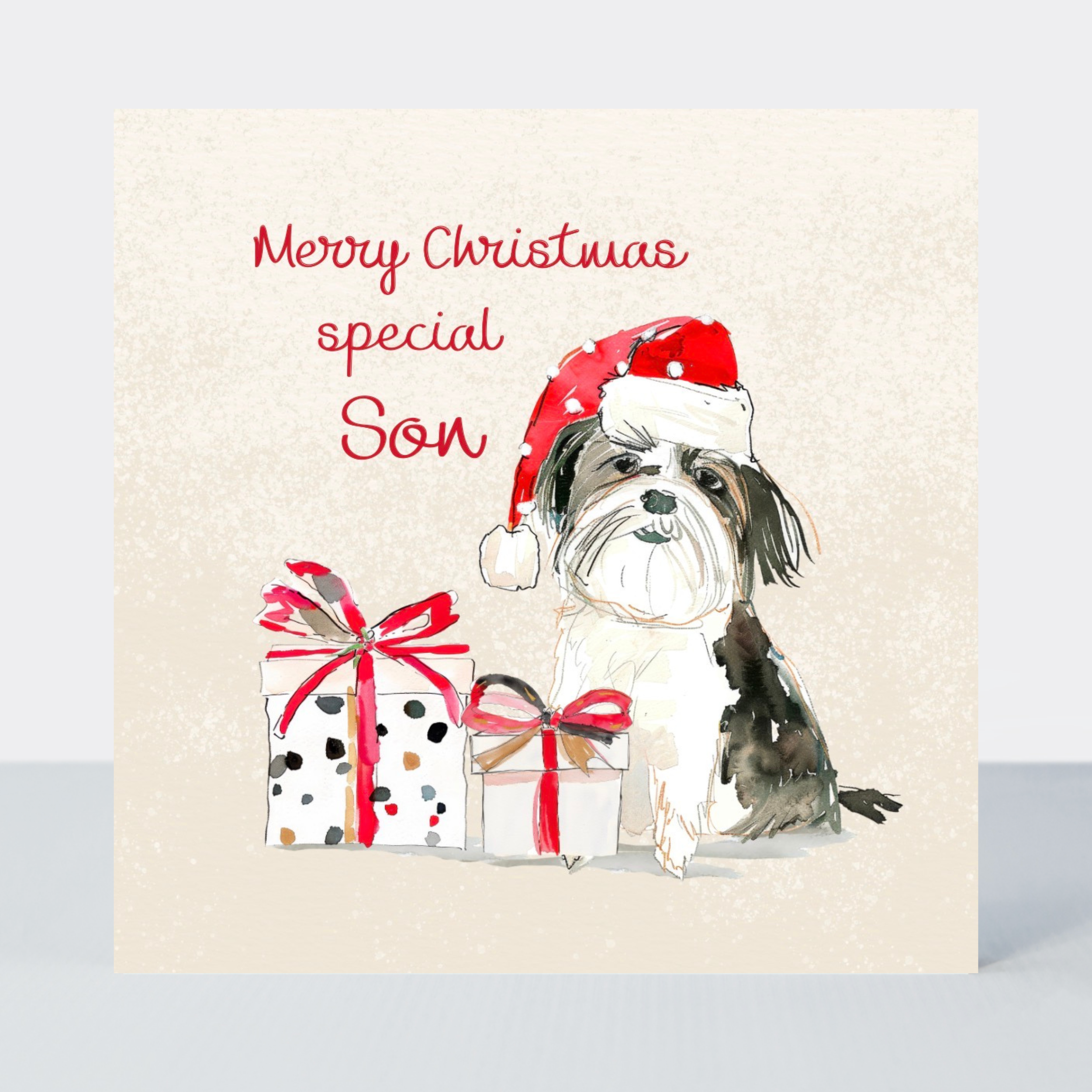 Petimo - Special Son Merry Tails Cute Dog Christmas Card