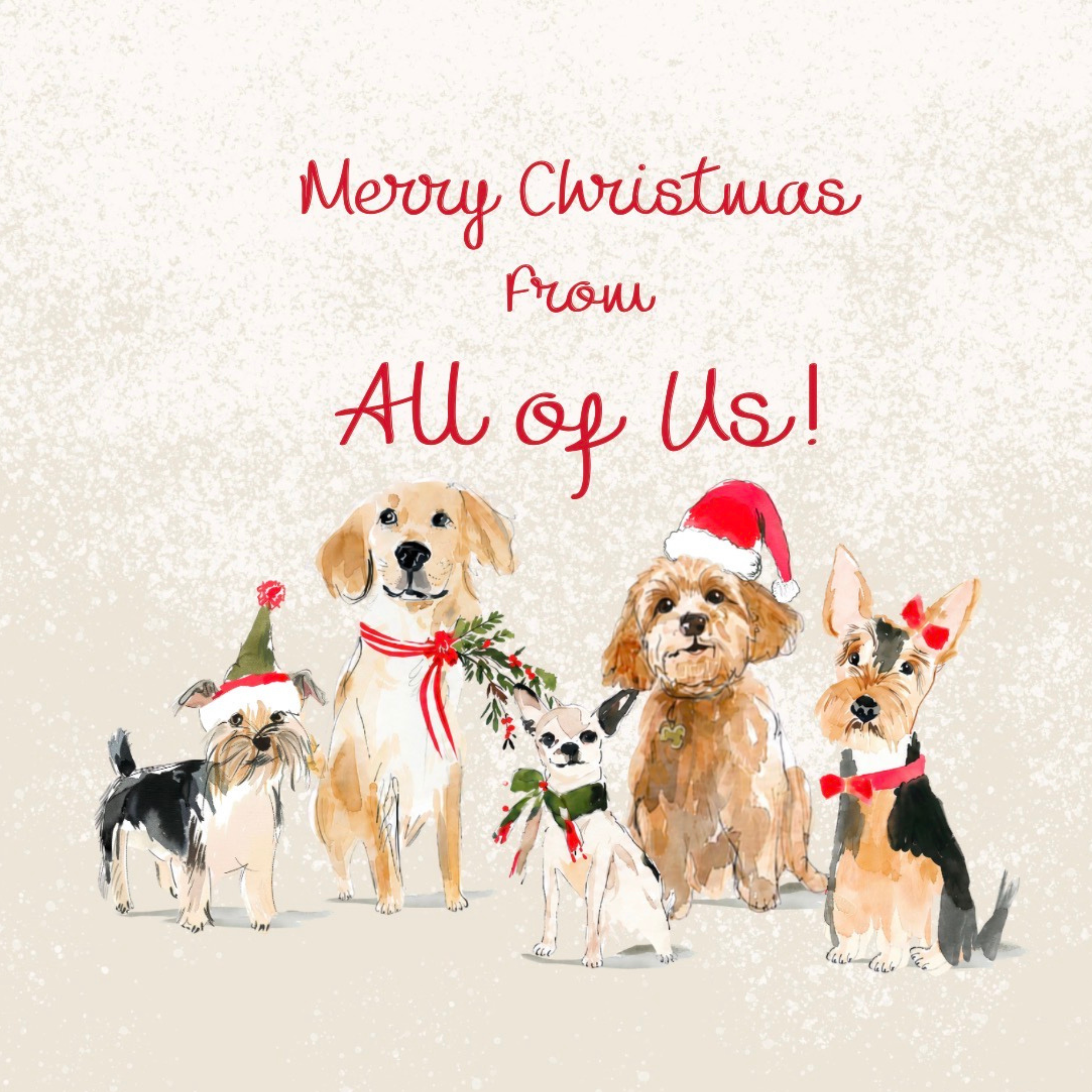 Petimo - From All of Us Merry Tails Cute Dogs Christmas Card