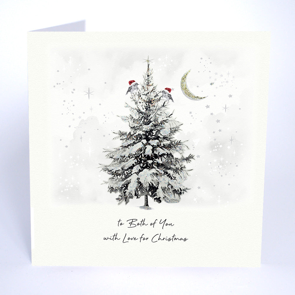 Five Dollar Shake To Both Of You With Love for Christmas (Robins) Christmas Card