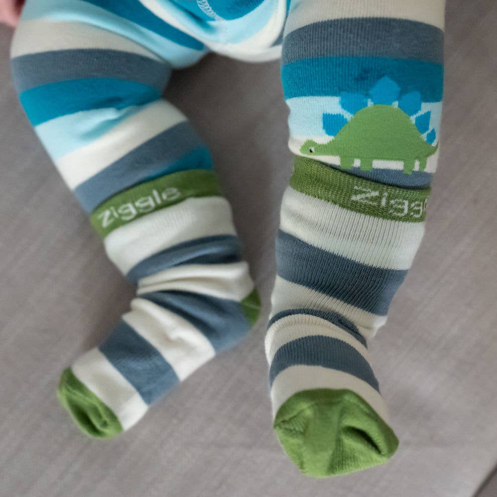 Ziggle Baby - Dinosaur Boxed Sock Set: 0-6 Months
