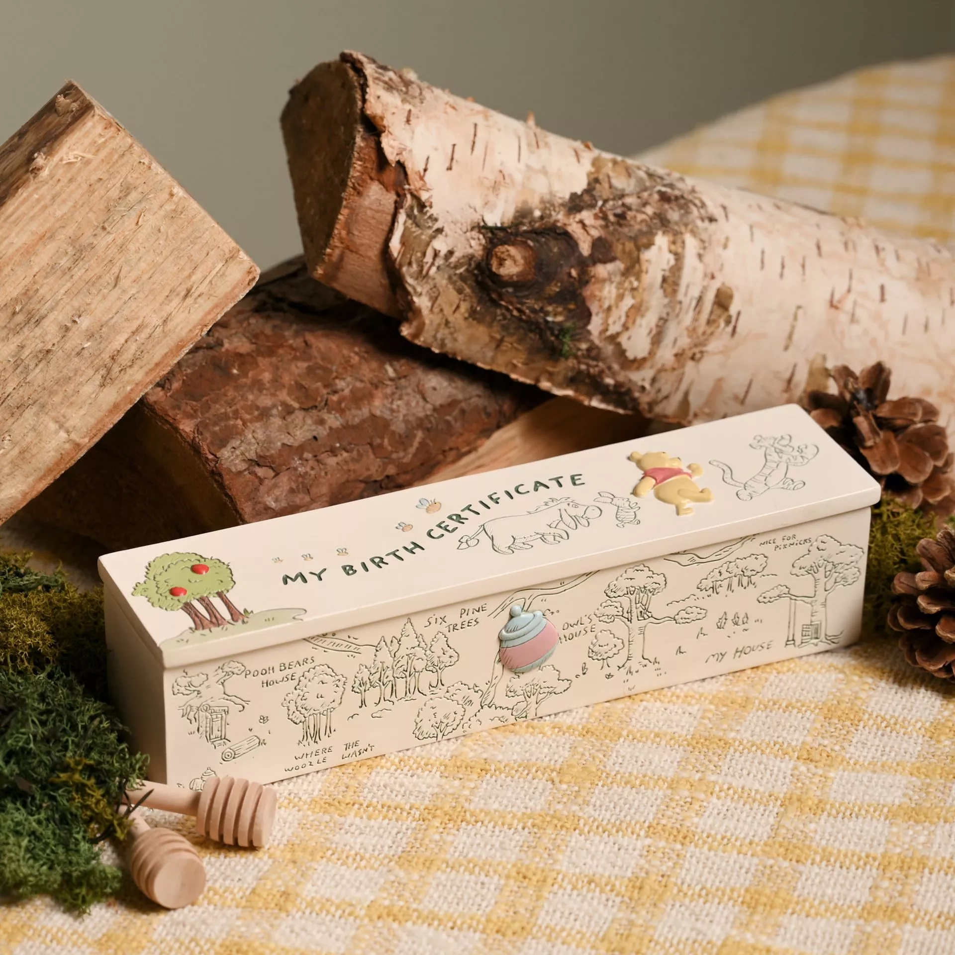 Winnie the Pooh Birth Certificate Tube