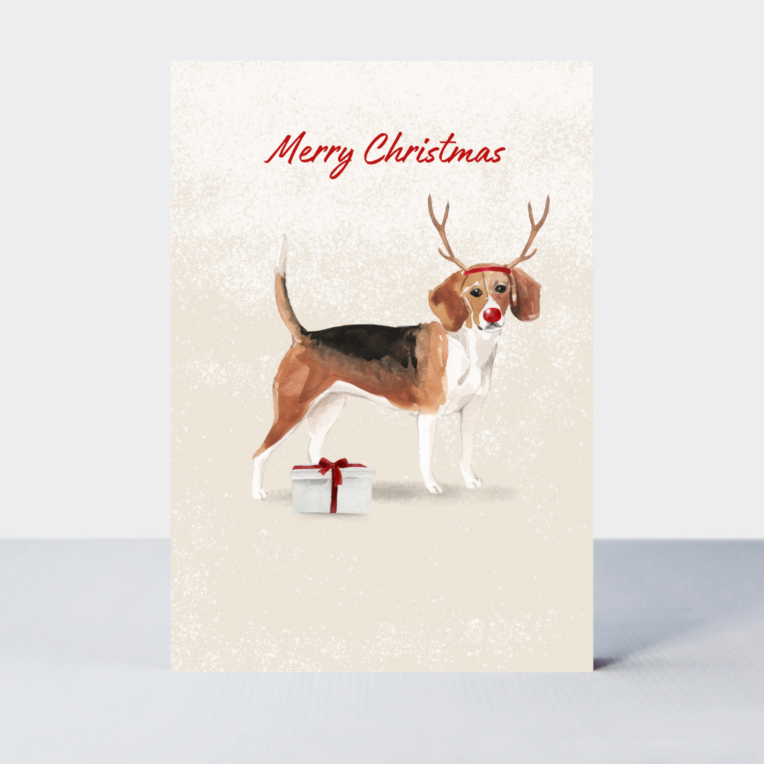 Pawfect Christmas Beagle Card