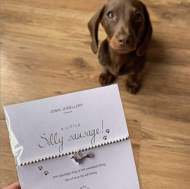 Joma Jewellery a little Silly Sausage Bracelet - sausage dog - More Than Just a Gift | Narborough Hall