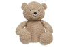 Biscuit Teddy Bear Soft Toy