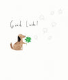 Pick 'N' Mix Good Luck Card
