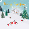 Belly Button Designs - From all of Us Christmas Card