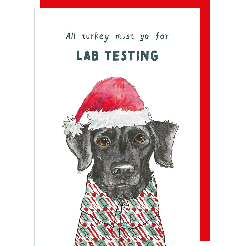 Rosie Made A Thing Lab Test Christmas Card