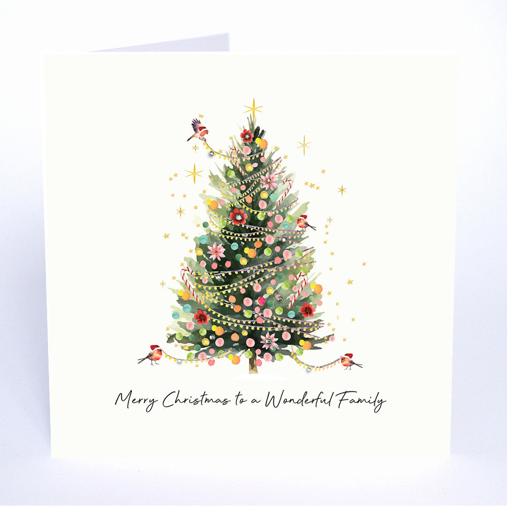 Five Dollar Shake Merry Christmas To A Wonderful Family Christmas Card