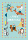 Dog Happy Birthday Not Today Tuesday Card