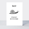 Law Of The Jungle Sixty Birthday Card - More Than Just a Gift | Narborough Hall