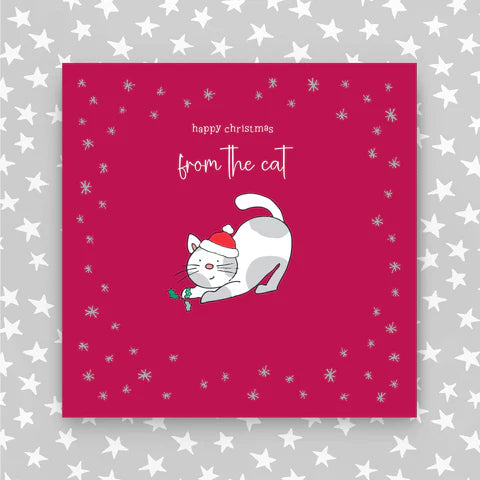 Molly Mae Happy Christmas from the Cat