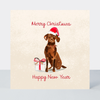Petimo - Merry Tails Cute Labrador Dog Christmas Card