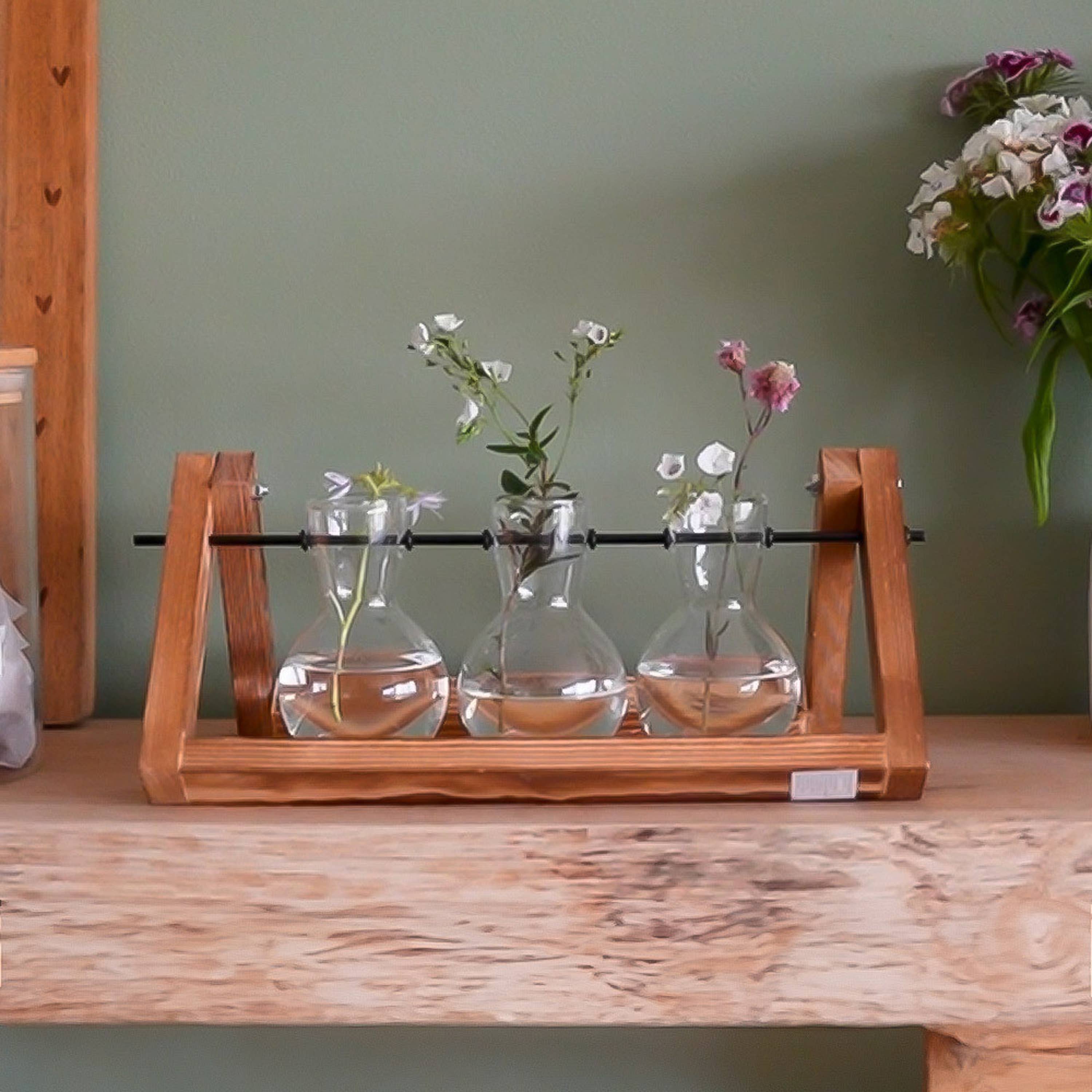 Propagation Vases