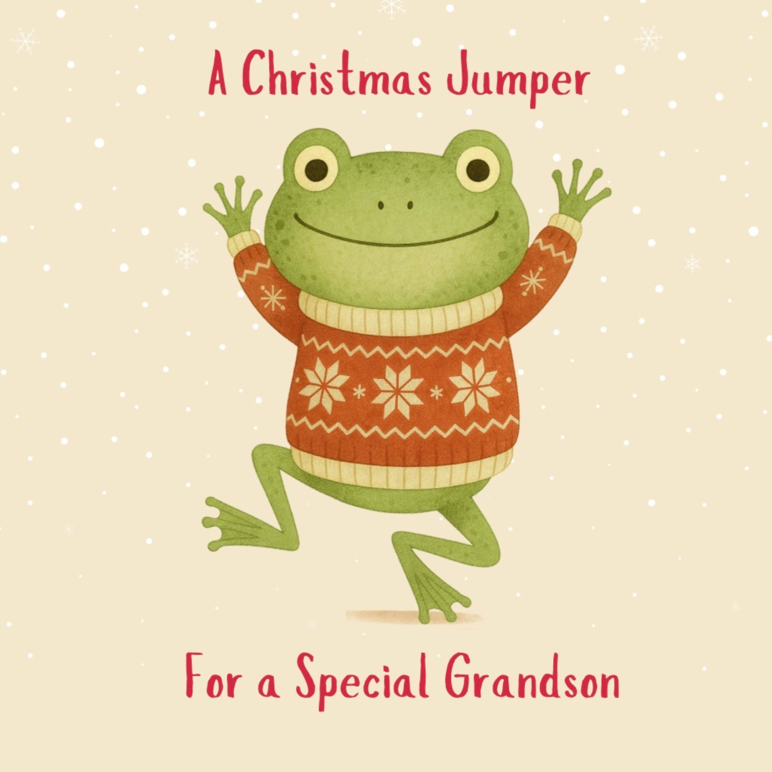 Petimo - Grandson Christmas Jumper Frog Fun Christmas Card