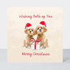Petimo - Both of You Merry Tails Cute Cockapoo Dogs Christmas Card