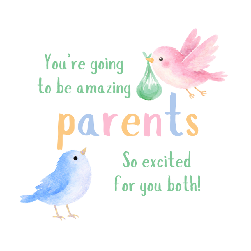 Petimo - Going to be Amazing Parents Cute Birds New Baby Card