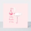 Petimo - Pink Little Bundle of Joy Stork New Baby Girl Card