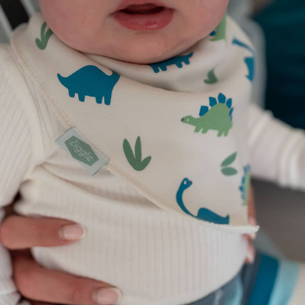 Ziggle Baby - Dino And Stars Bib Set
