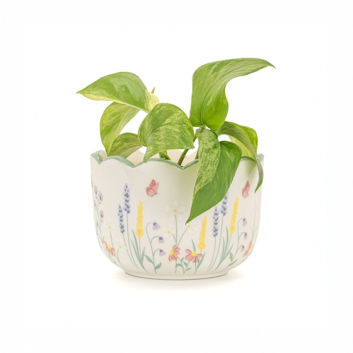 Meadow Floral Planter - More Than Just a Gift | Narborough Hall