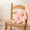 Katie The Plush Long Legged Pink Bunny - 35cm
