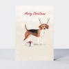 Pawfect Christmas Beagle Card